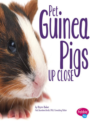 cover image of Pet Guinea Pigs Up Close